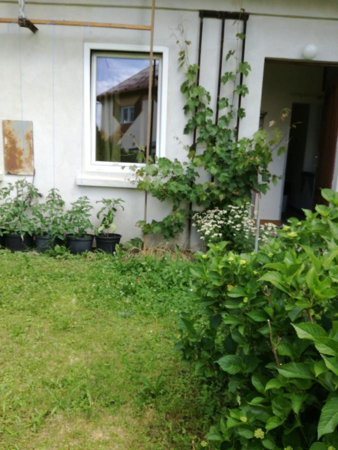 KEMP a stanování na faře Javorník Exteriér fotografie