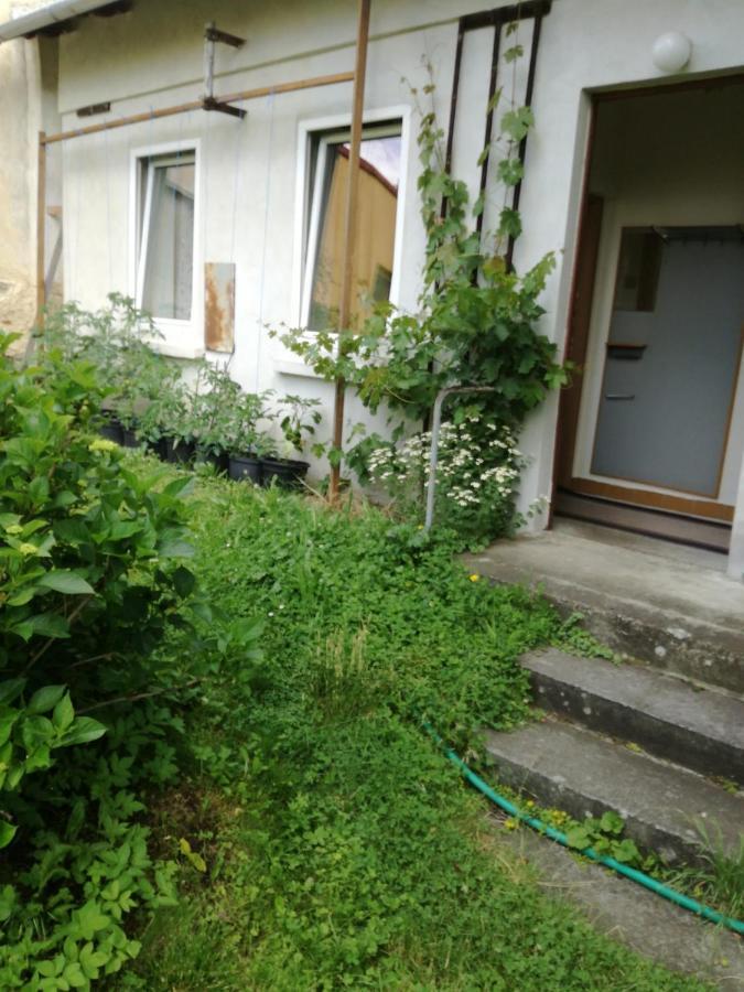 KEMP a stanování na faře Javorník Exteriér fotografie